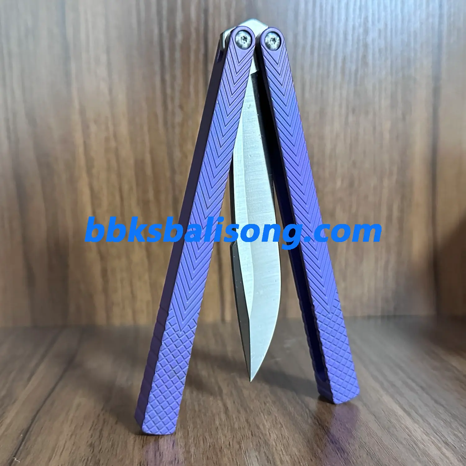 Theone Serif Balisong Clone Titanium Handle - Image 8